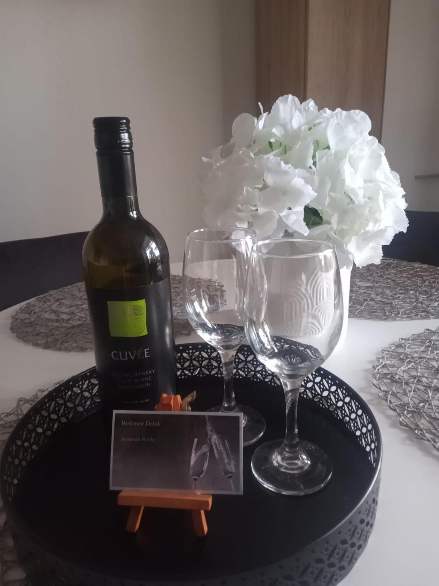 Apartman Shelly Vlachy 外观 照片